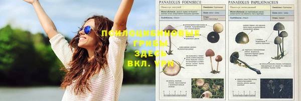 скорость mdpv Абинск