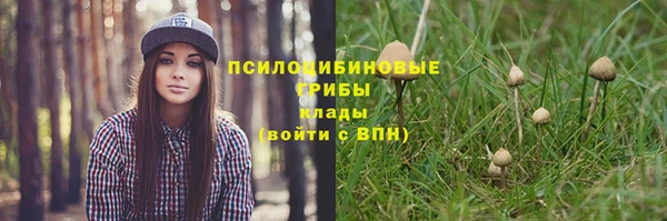 гидропоника Абаза