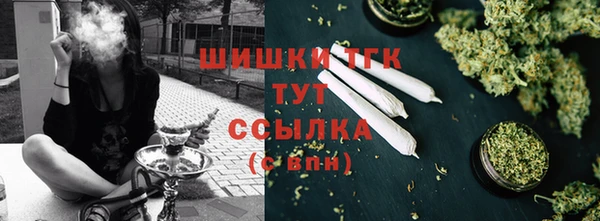гидропоника Абаза