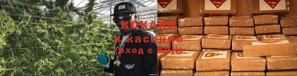 гидропоника Абаза